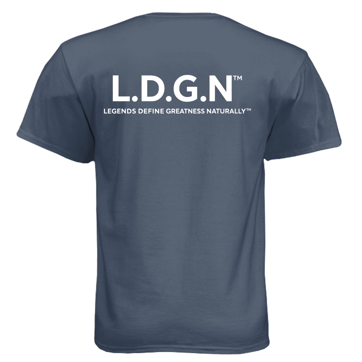 Legion Blue - 6010 - BACK