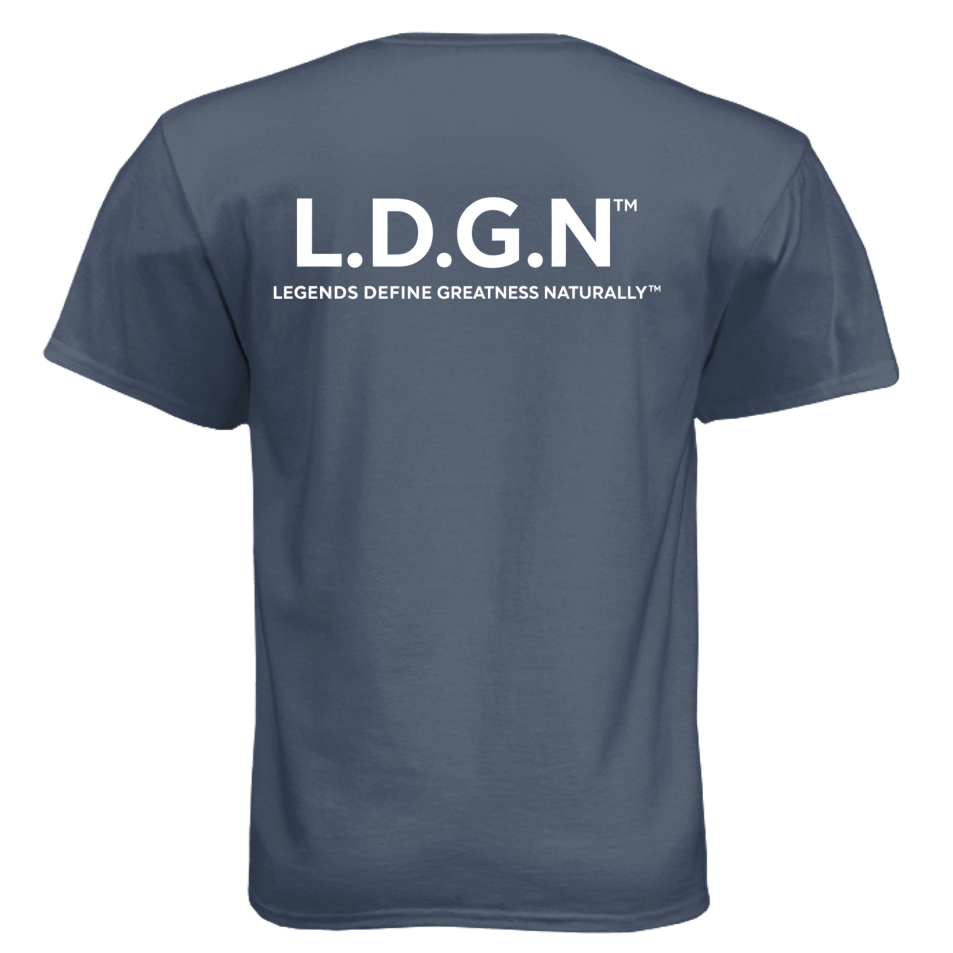 Legion Blue - 6010 - BACK